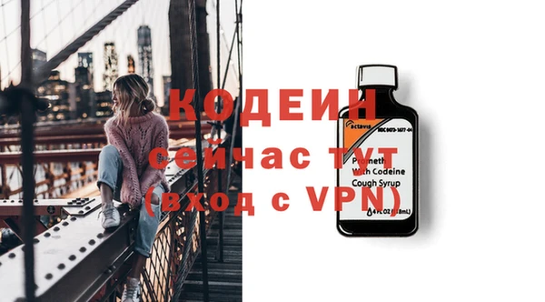 сатива Арсеньев