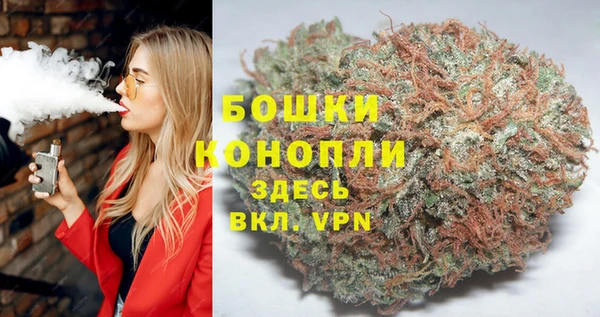 сатива Арсеньев