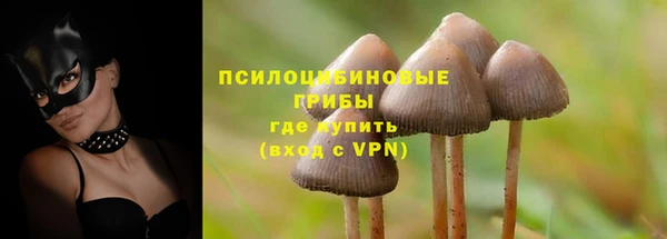 сатива Арсеньев