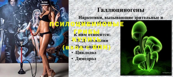 a pvp Аркадак