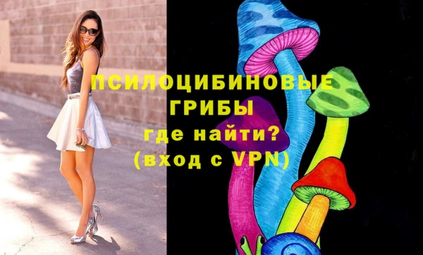 мяу мяу мука Армянск
