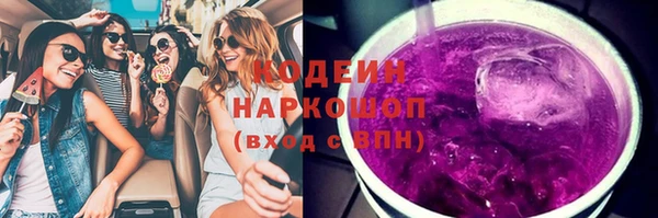 сатива Арсеньев