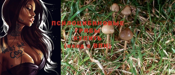 мяу мяу мука Армянск