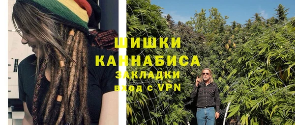 сатива Арсеньев