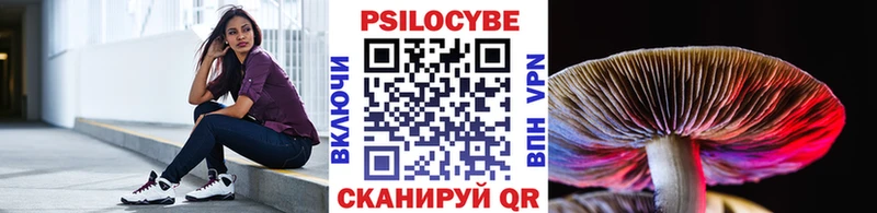 Псилоцибиновые грибы прущие грибы  где купить наркоту  Долгопрудный 