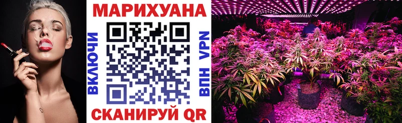 Каннабис план Долгопрудный